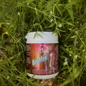 BioMix