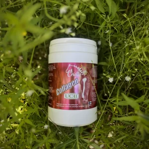 Collagen UC-II®