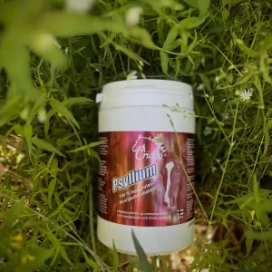 Psyllium