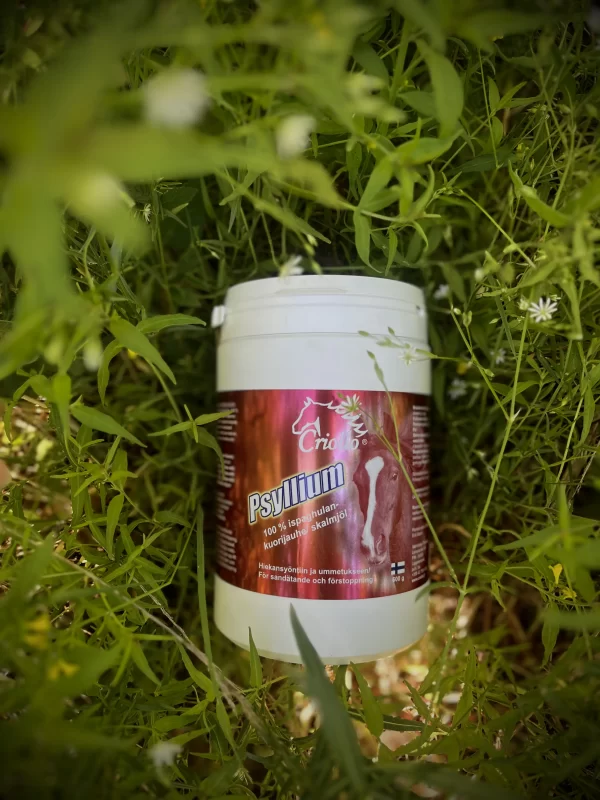 Psyllium