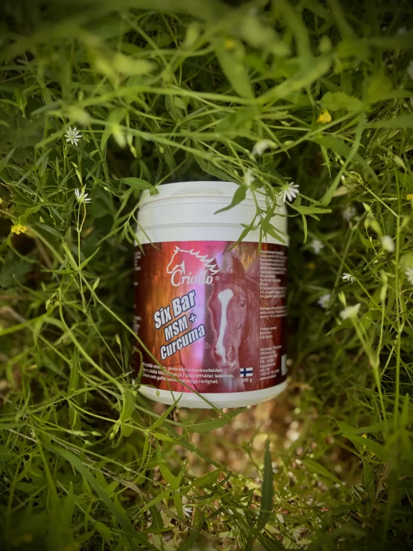 Six Bar MSM+Curcuma