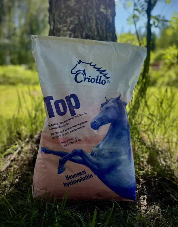 Criollo Top